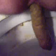 A female shitting ass on a toilet from a close-up perspective. This is a nice big poop. Full audio included.